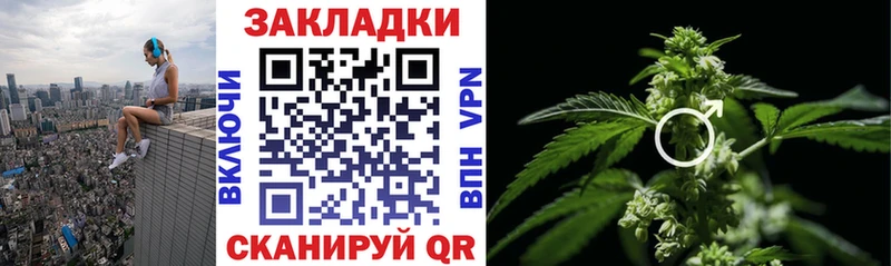 Где можно купить наркотики Дагестанские Огни COCAIN  АМФЕТАМИН  OMG как зайти  ГАШИШ  Меф  Конопля  A PVP 