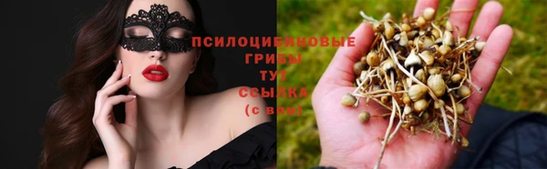 метамфетамин Белокуриха