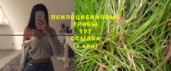 метамфетамин Белокуриха