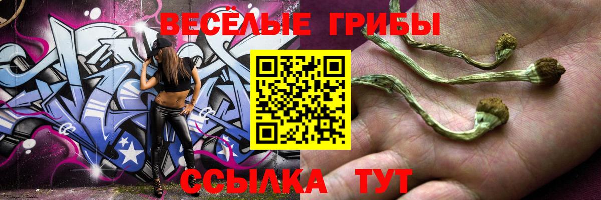 Псилоцибиновые грибы Psilocybe Дагестанские Огни